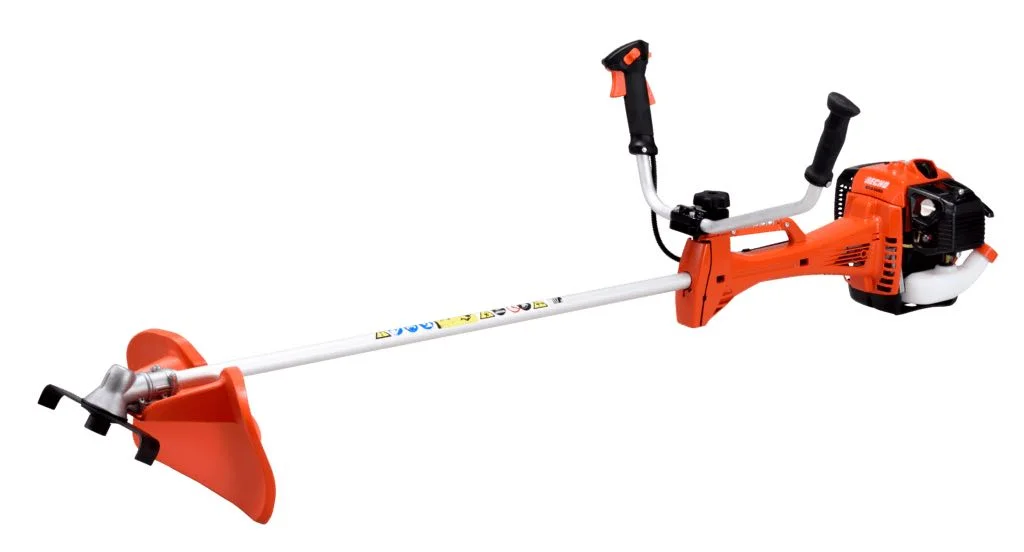 BCLS 520 2 1024x552 1