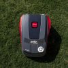 Solo robotplæneklipper premium PRO Robolinho 700 W - 700m2 inkl. installation, 1. års service og vinteropbevaring.